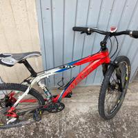 Bici olimpya alpina pro tech