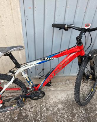 Bici olimpya alpina pro tech