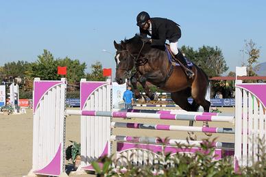 Cavalla qualitativa e sincera