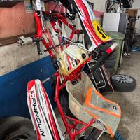 Kart parolin