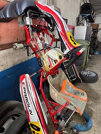 Kart parolin