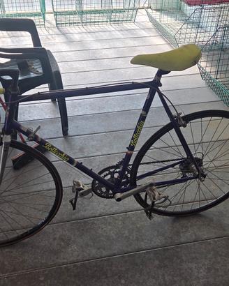 bottecchia vintage