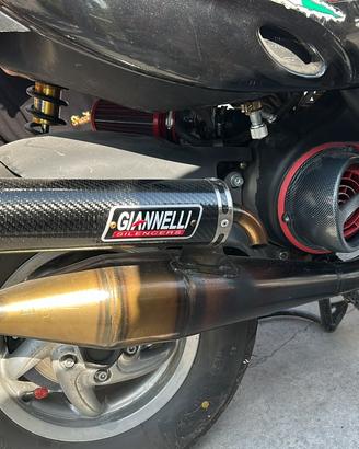 Giannelli shot v4