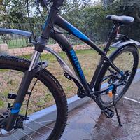 bici MTB adulto