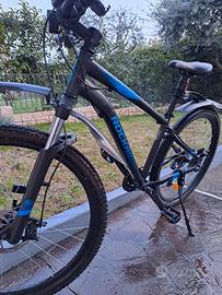 bici MTB adulto