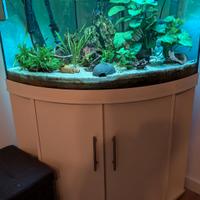 Aquario 200L