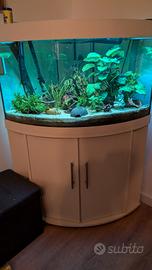 Aquario 200L