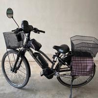 Bicicletta elettrica