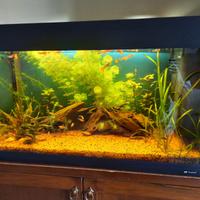 Acquario Ferplast Dubai 80