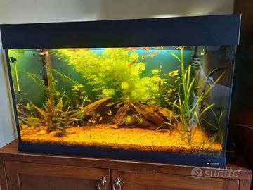 Acquario Ferplast Dubai 80