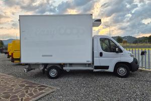 FIAT DUCATO FRIGO 2019