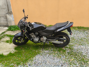 Vendita Honda Hornet 2002
