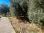 Immagine 18