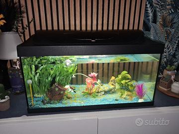 acquario tetra 70 litri
