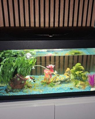 acquario tetra 70 litri