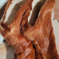 Stivali dopo sci da neve