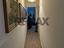 Immagine 11