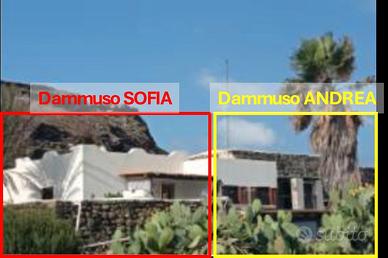 Vacanze pantelleria - mursia - dammuso andrea