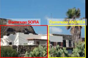 Vacanze pantelleria - mursia - dammuso andrea