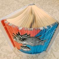 Foto immagine Fregio fiamma Carabinieri su libro