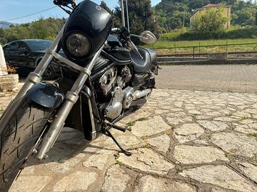 Harley davidson v road
