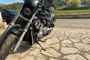Harley davidson v road