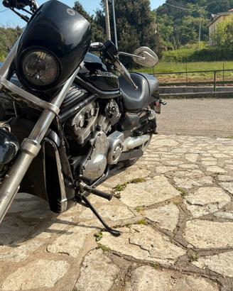 Harley davidson v road