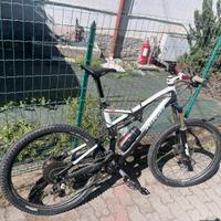 Specialized in carbonio