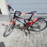 bicicletta