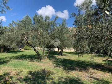 TER. RESIDENZIALE A TERNI