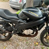 Cagiva raptor 125