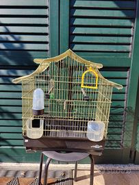 Gabbia per uccelli 