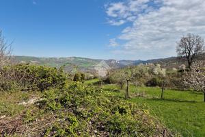 CASA SEMINDIPENDENTE A CANOSSA
