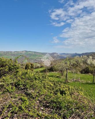 CASA SEMINDIPENDENTE A CANOSSA