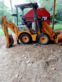 Miniterna jcb escavatore