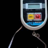 Bilancia pesatura pesca Carpfishing 