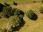 Immagine 14