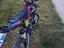 Immagine 2