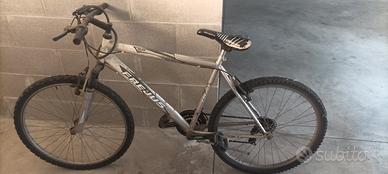 montanbike