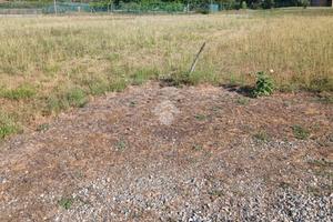 TER. RESIDENZIALE A ROCCA CANAVESE