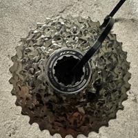 Pacco Pignoni Shimano