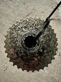 Pacco Pignoni Shimano