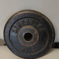 Pesi ghisa 2Kg