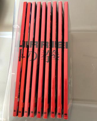 Dvd Ken Il Guerriero