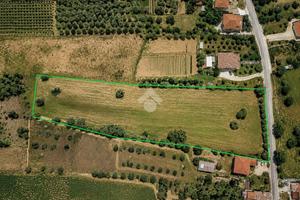 TER. RESIDENZIALE A MOSCIANO SANT'ANGELO