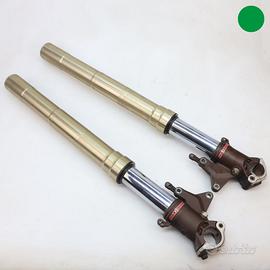 Steli forcella Marzocchi MV AGUSTA Brutale 750