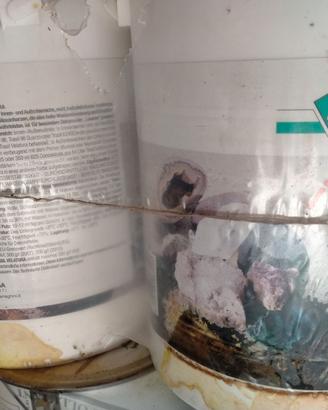 Trasil Velatura lt. 4