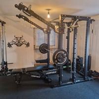 Power arms lacertosus 2.0