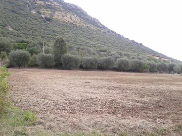 Terreno agricolo con piccolo rudere