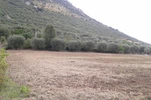 Terreno agricolo con piccolo rudere